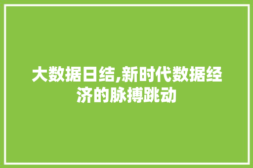 大数据日结,新时代数据经济的脉搏跳动