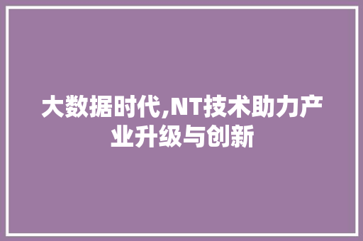 大数据时代,NT技术助力产业升级与创新