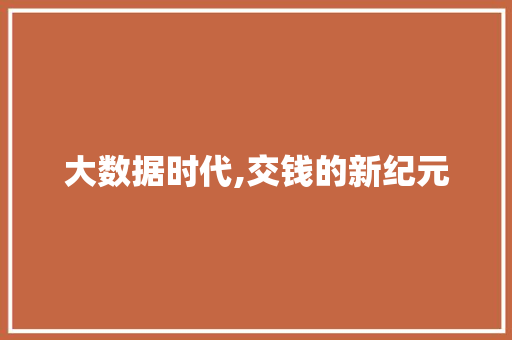 大数据时代,交钱的新纪元