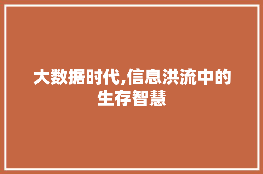 大数据时代,信息洪流中的生存智慧