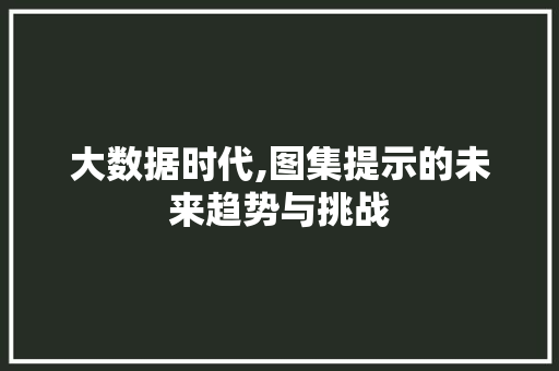 大数据时代,图集提示的未来趋势与挑战
