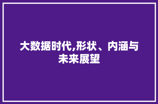 大数据时代,形状、内涵与未来展望