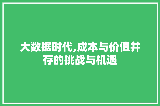 大数据时代,成本与价值并存的挑战与机遇