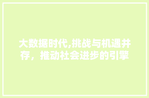 大数据时代,挑战与机遇并存，推动社会进步的引擎
