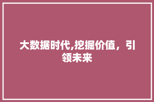 大数据时代,挖掘价值，引领未来