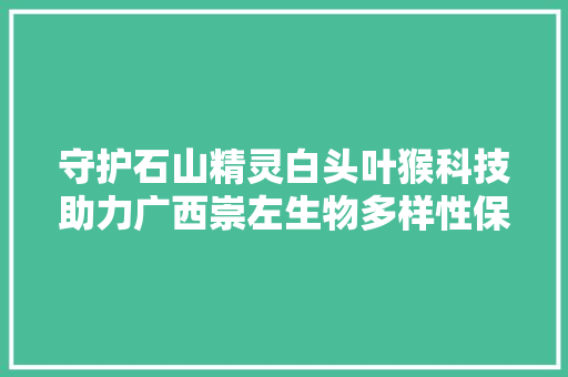 守护石山精灵白头叶猴科技助力广西崇左生物多样性保护