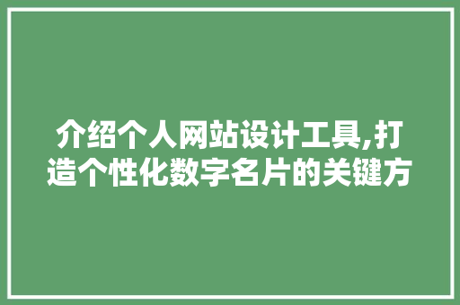 介绍个人网站设计工具,打造个性化数字名片的关键方法