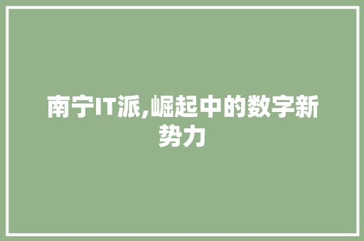 南宁IT派,崛起中的数字新势力