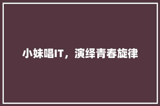 小妹唱IT，演绎青春旋律
