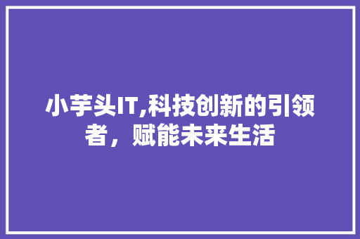 小芋头IT,科技创新的引领者，赋能未来生活
