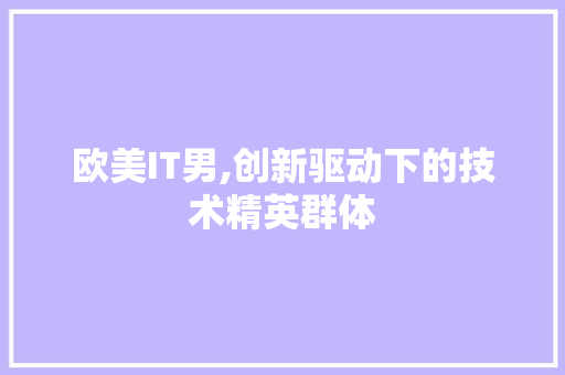 欧美IT男,创新驱动下的技术精英群体
