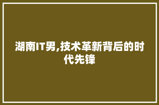 湖南IT男,技术革新背后的时代先锋