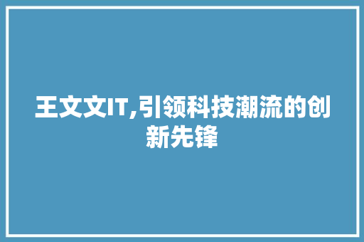 王文文IT,引领科技潮流的创新先锋