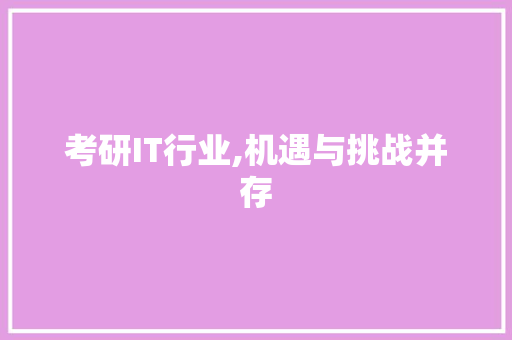 考研IT行业,机遇与挑战并存