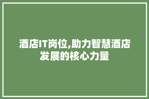 酒店IT岗位,助力智慧酒店发展的核心力量