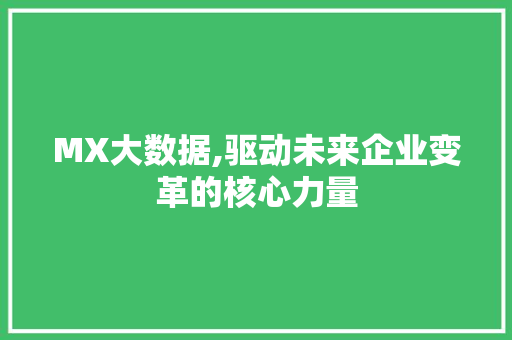 MX大数据,驱动未来企业变革的核心力量