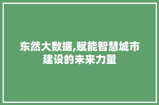 东然大数据,赋能智慧城市建设的未来力量