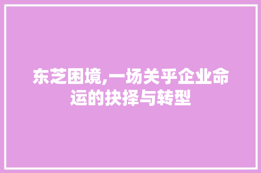 东芝困境,一场关乎企业命运的抉择与转型