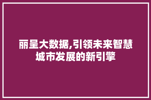 丽呈大数据,引领未来智慧城市发展的新引擎
