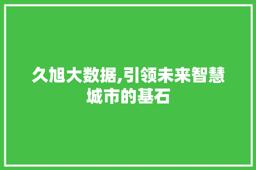 久旭大数据,引领未来智慧城市的基石