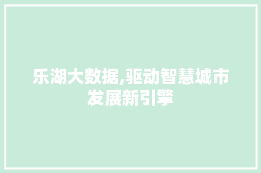 乐湖大数据,驱动智慧城市发展新引擎