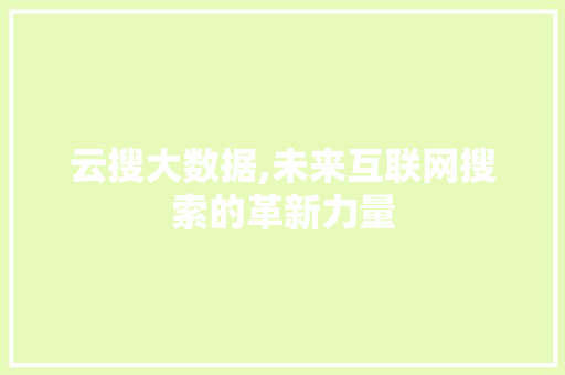 云搜大数据,未来互联网搜索的革新力量