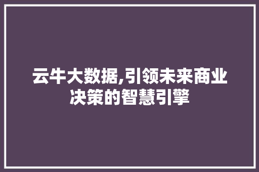 云牛大数据,引领未来商业决策的智慧引擎