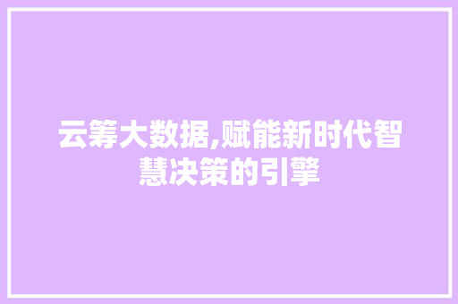 云筹大数据,赋能新时代智慧决策的引擎
