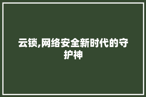 云锁,网络安全新时代的守护神