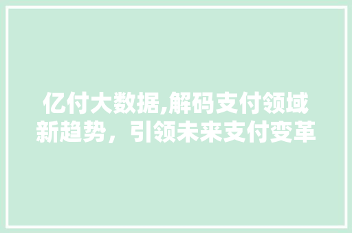 亿付大数据,解码支付领域新趋势，引领未来支付变革