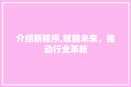 介绍新程序,赋能未来，推动行业革新
