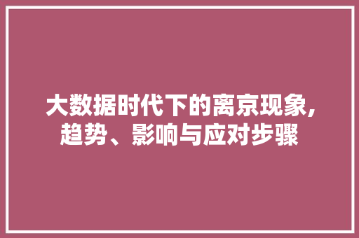 大数据时代下的离京现象,趋势、影响与应对步骤