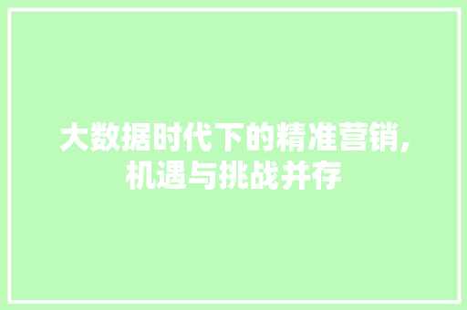 大数据时代下的精准营销,机遇与挑战并存