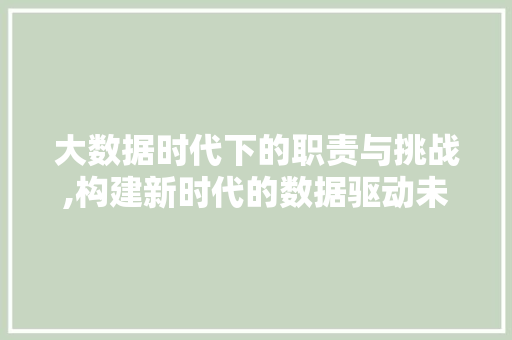 大数据时代下的职责与挑战,构建新时代的数据驱动未来