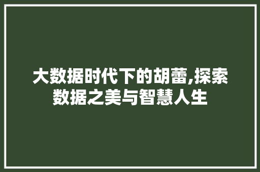 大数据时代下的胡蕾,探索数据之美与智慧人生