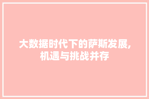 大数据时代下的萨斯发展,机遇与挑战并存