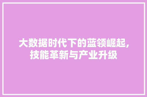 大数据时代下的蓝领崛起,技能革新与产业升级
