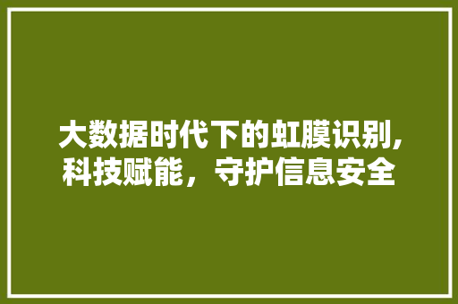 大数据时代下的虹膜识别,科技赋能，守护信息安全