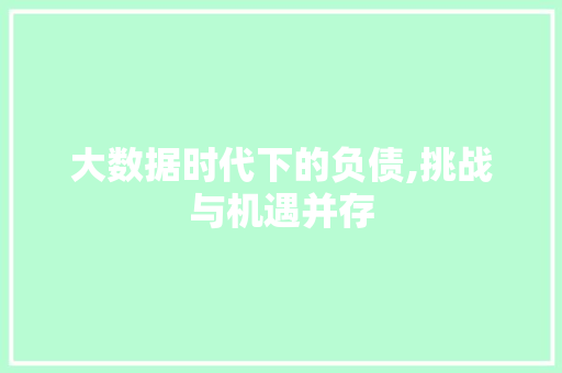 大数据时代下的负债,挑战与机遇并存
