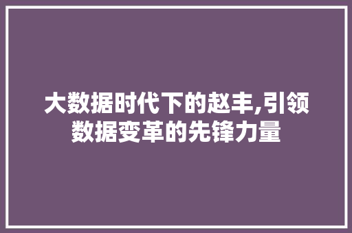 大数据时代下的赵丰,引领数据变革的先锋力量