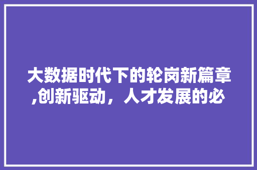 大数据时代下的轮岗新篇章,创新驱动，人才发展的必然选择