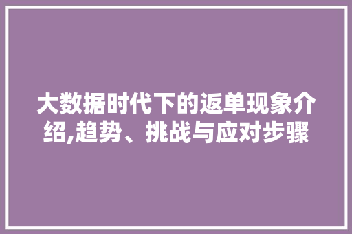 大数据时代下的返单现象介绍,趋势、挑战与应对步骤