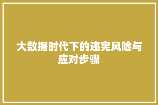 大数据时代下的违宪风险与应对步骤