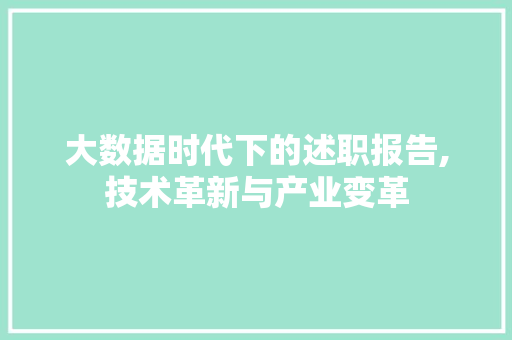 大数据时代下的述职报告,技术革新与产业变革