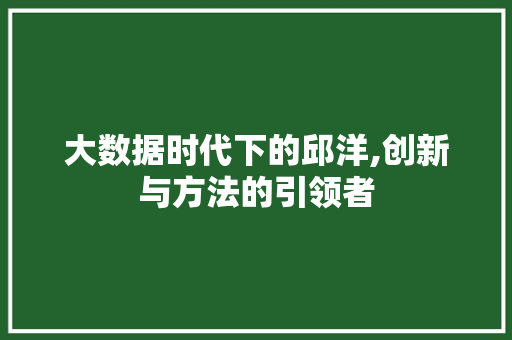 大数据时代下的邱洋,创新与方法的引领者