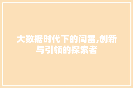 大数据时代下的闫雷,创新与引领的探索者