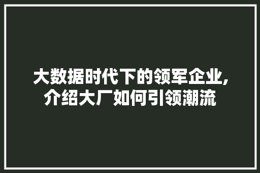 大数据时代下的领军企业,介绍大厂如何引领潮流