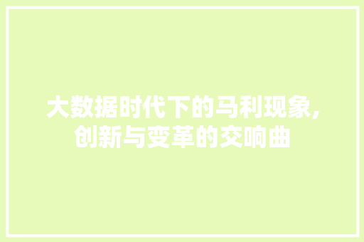 大数据时代下的马利现象,创新与变革的交响曲