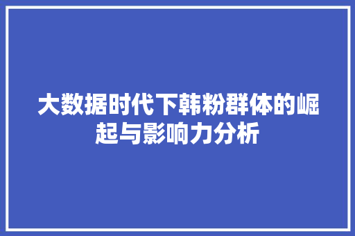 大数据时代下韩粉群体的崛起与影响力分析