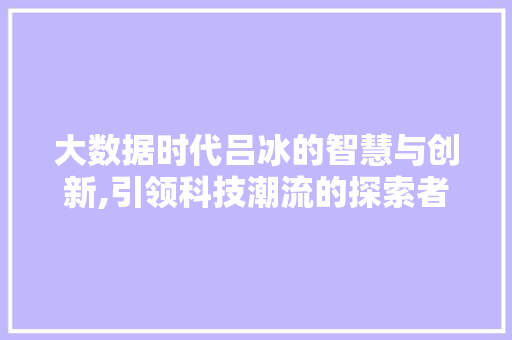 大数据时代吕冰的智慧与创新,引领科技潮流的探索者